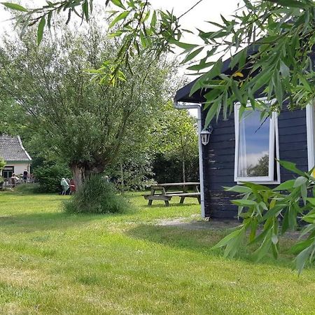 Chalet Egmond Egmond aan den Hoef Exterior photo