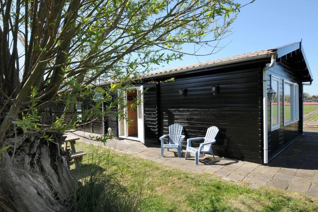 Chalet Egmond Egmond aan den Hoef Exterior photo